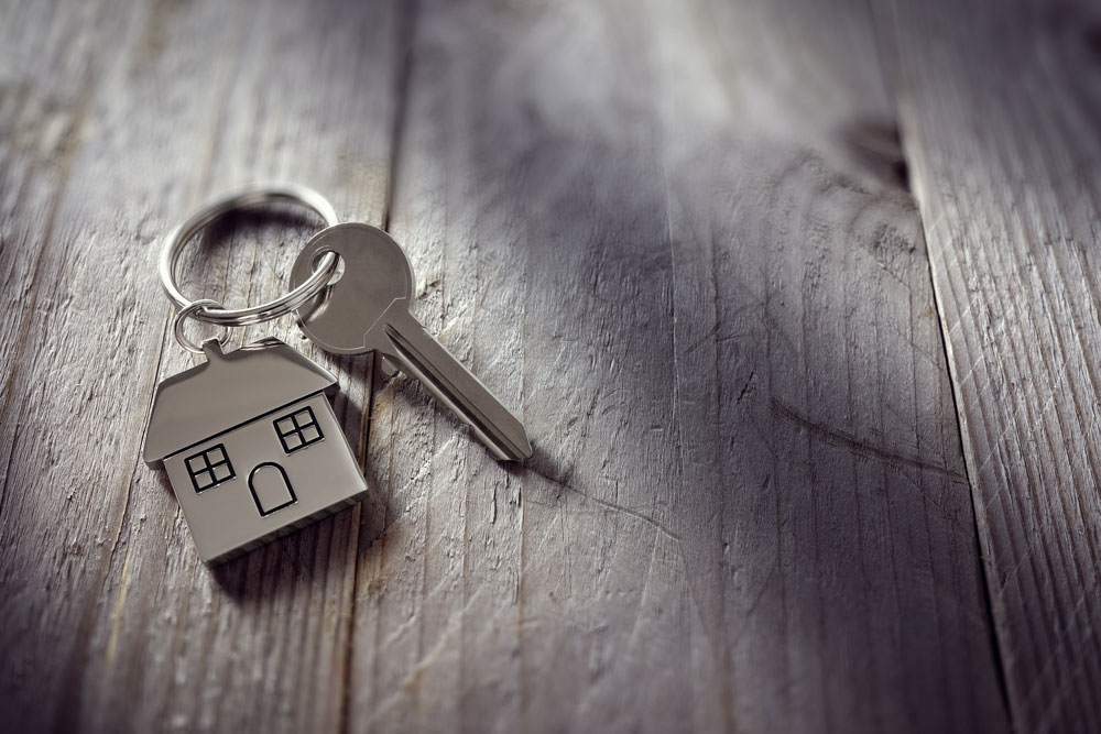 New Braunfels Property Owners